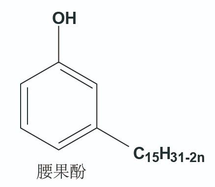 未標題-1-02.jpg